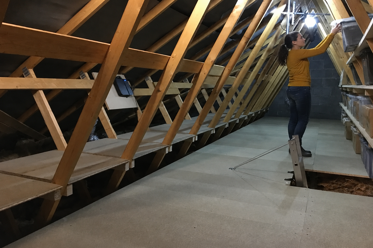 professional loft flooring installation Northern Ireland